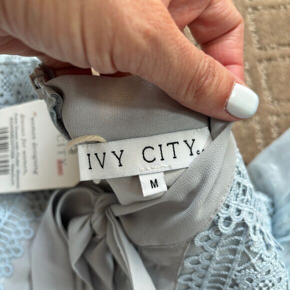 Ivy City Co Kate Dress Women's M Light Blue Flutter Sleeves Swiss Dot Whimsy NWT - Picture 4 of 9